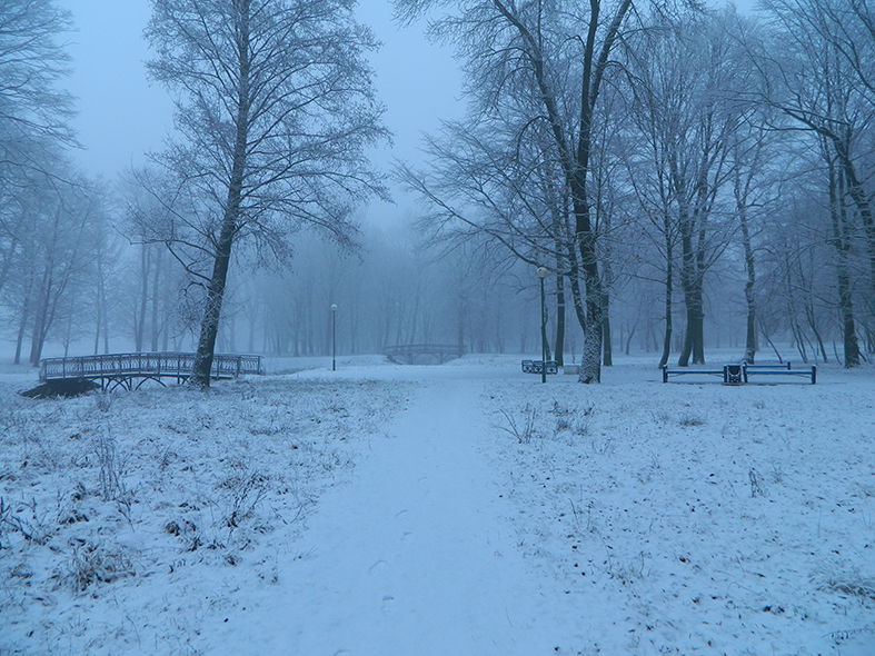 аллеа парка зимой.jpg